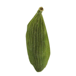 Image of cardamom seed single