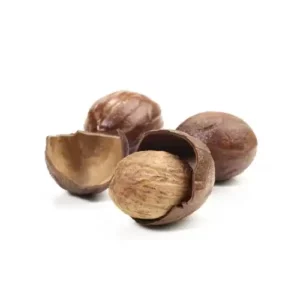 nutmeg with shell