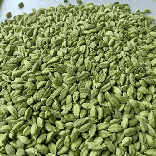 cardamom suppliers in Kerala 7-8-MM-Bold-export-01-1